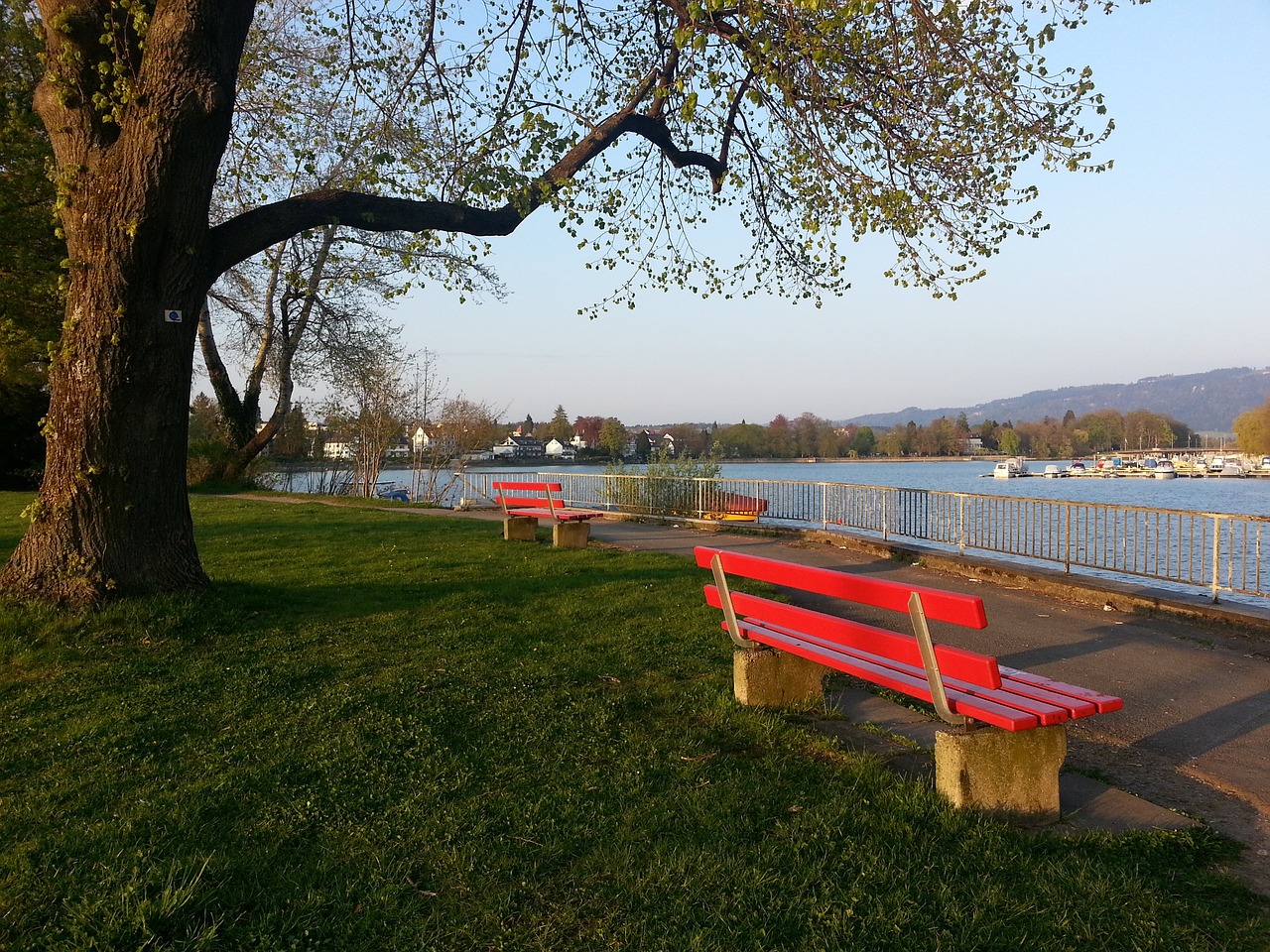 我们看到的 我们看到的