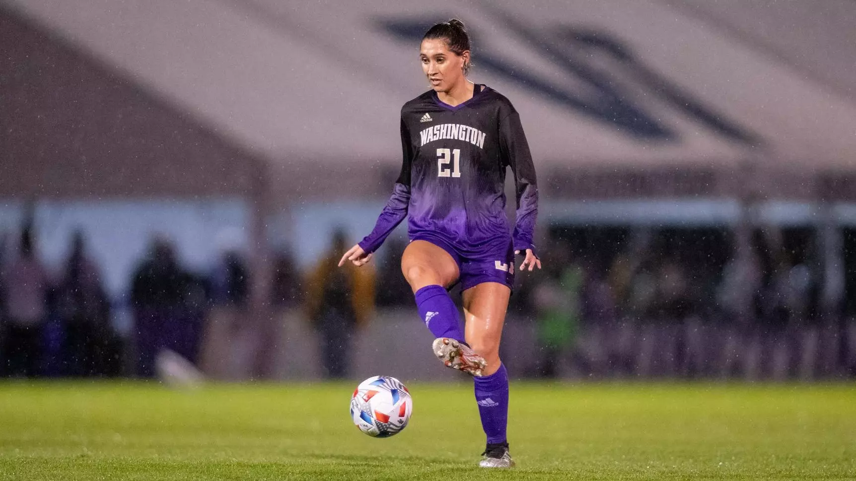 光明的前景 光明的前景